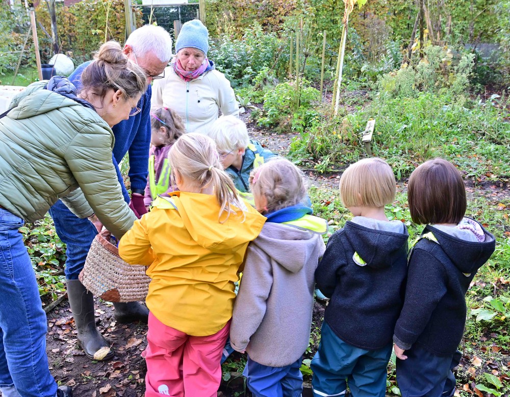 Wiega der Aktivgarten