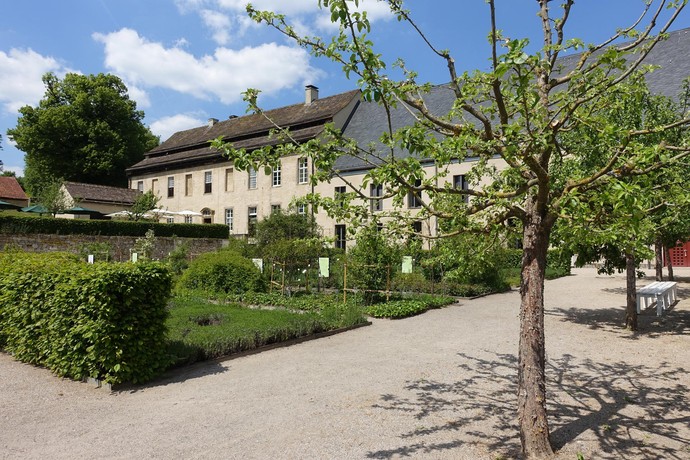 Blick durch entlang eines Weges zwischen den Beeten des Konventgartens mit Obstbaum