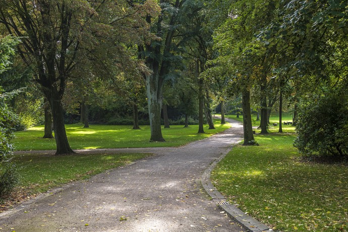 Geschwungener Schotterweg in Mitten von Bäumen im Von-Wedelstaedt-Park