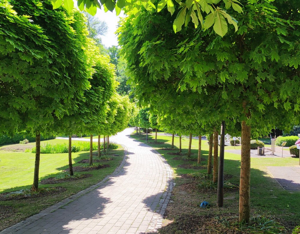 Kurpark Bad Holzhausen