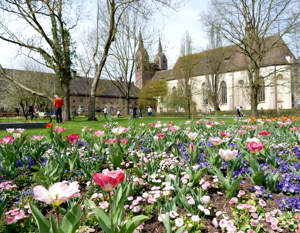 Höxter, Remtergarten Schloss Corvey