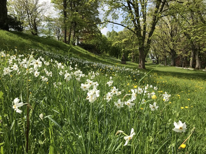 Parklandschaft Johannisberg in Bielefeld