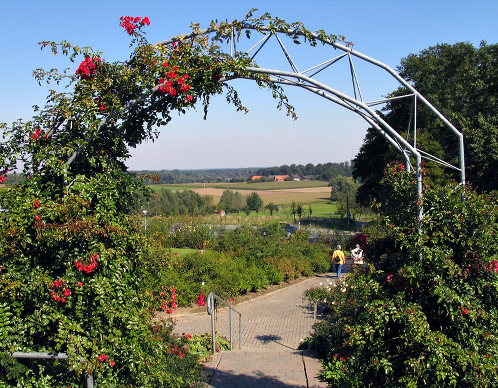 Ein Rosenbogen im Rosengarten Seppenrade. Dahinter sieht man einen Teil des Rosengartens sowie die umliegende Landschaft.