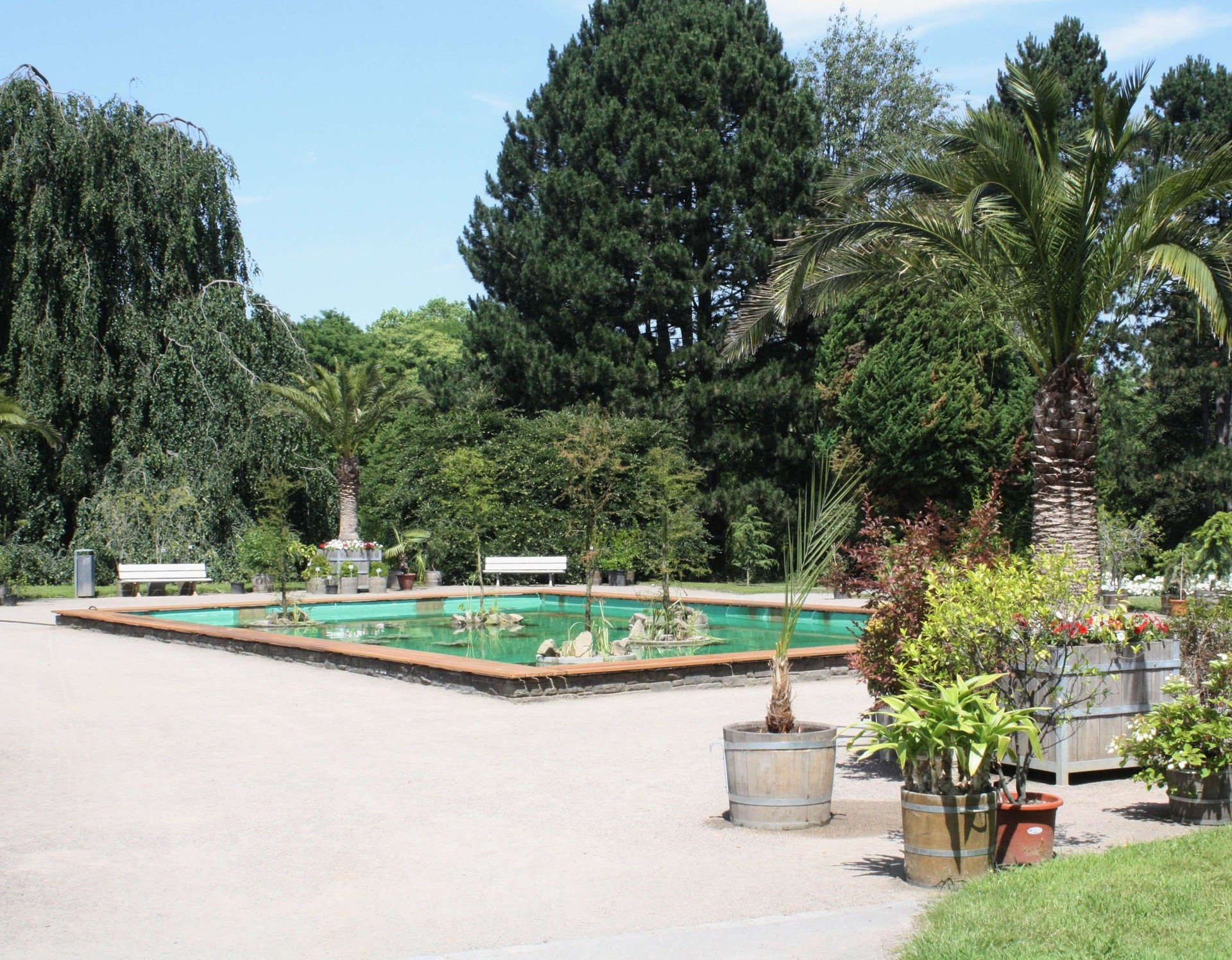 Botanischer Garten Rombergpark, Wasserbecken_an_den_Pflanzenschauhäusern