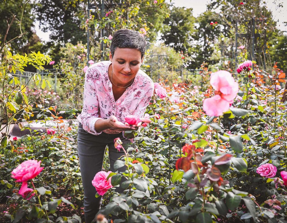 Eine Frau im Rosengarten des Kurparks Bad Sassendorf betrachtet eine der Rosen. Auf einer Fläche von 7.000 m² finden sich 80 Rosenarten.