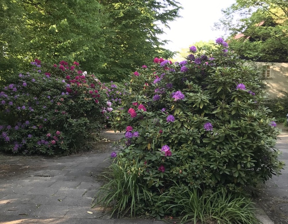 Papiermühle Berlebeck