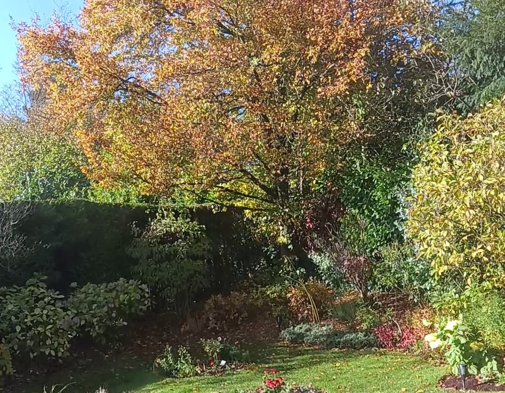 Dortmund, Garten Buchholz