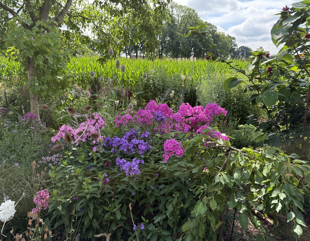 Gütersloh, Holler Gruenzeug