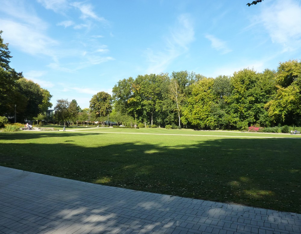Wiese im Stadtgarten Herne.