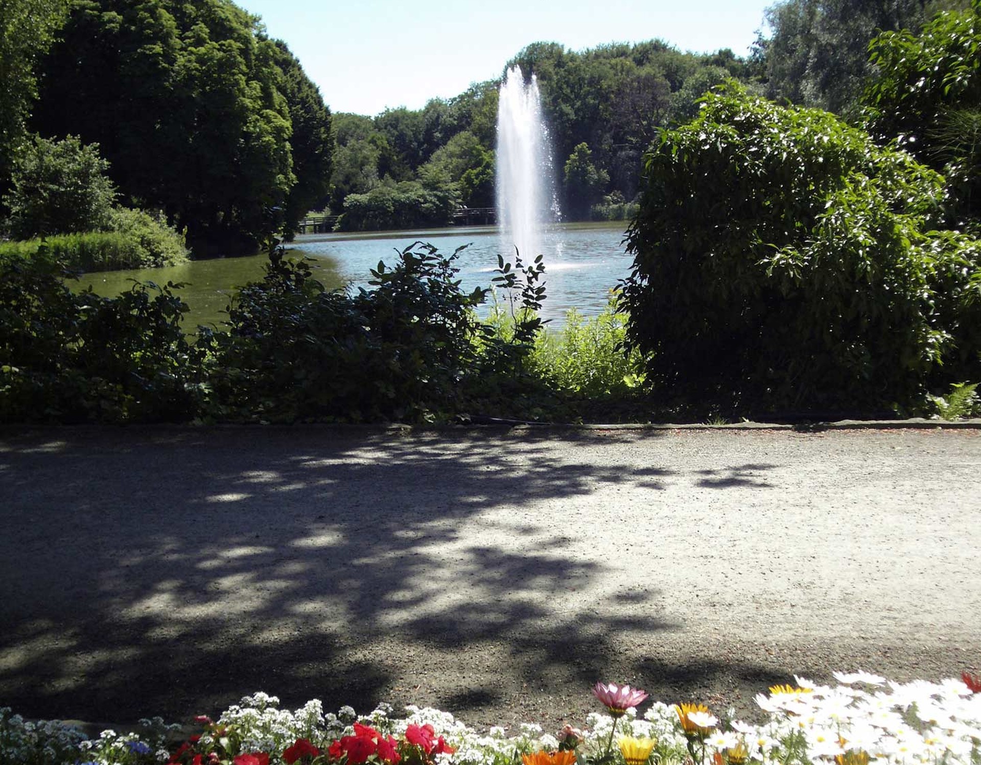 Blick auf den Springbrunnen im See. Am Rand des Parkwegs befindet sich ein Blumenbeet.