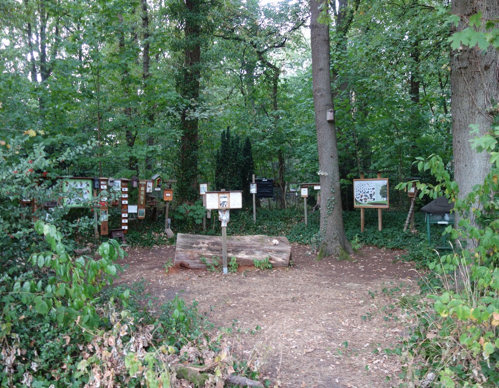 Garten des Museums Osthusschule in Bielefeld