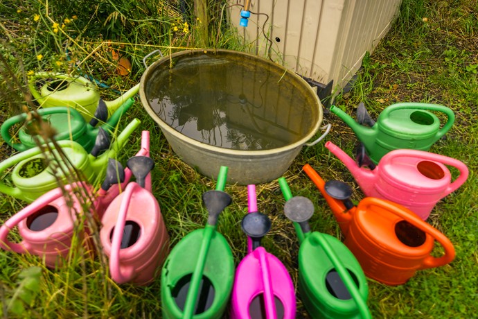 Zinkwanne mit Gießkannen