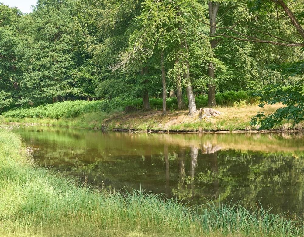 Wildpark in Dülmen