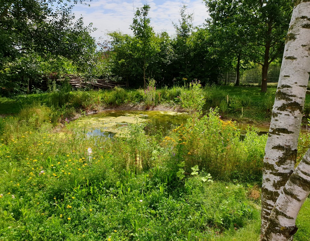 Münster, Kulturgarten im Kulturquartier