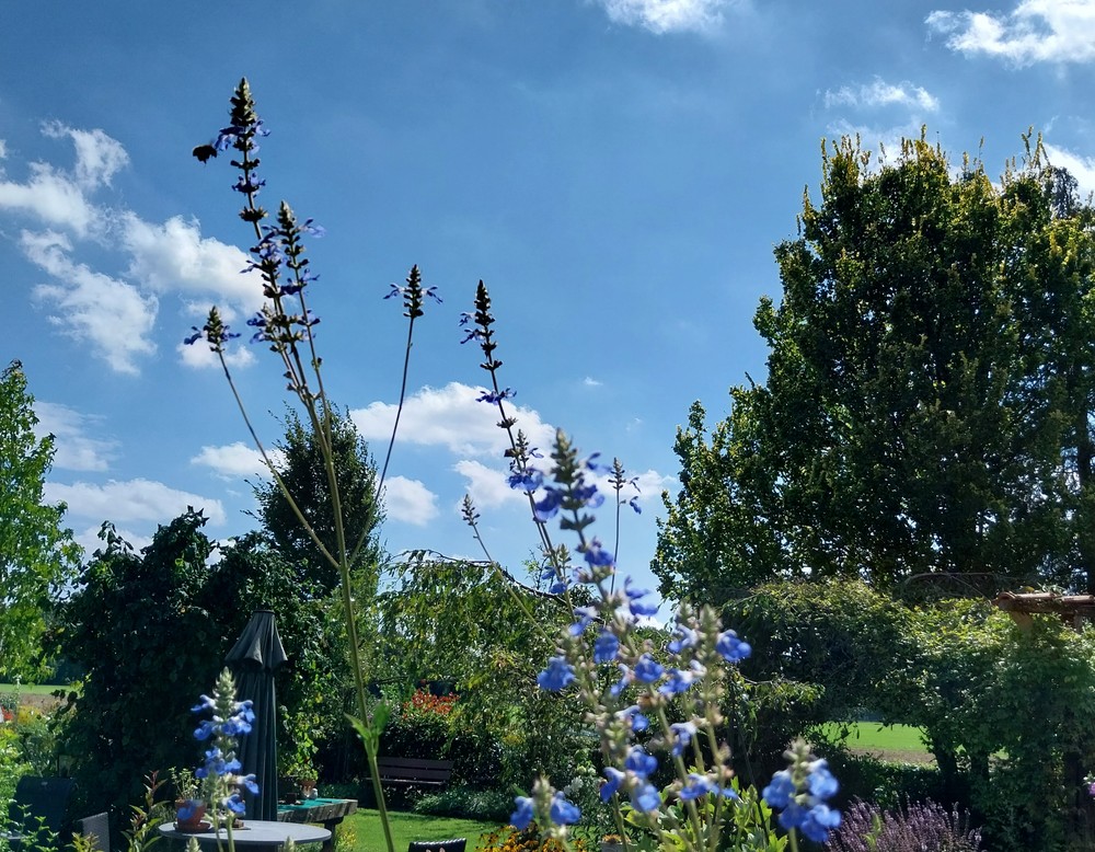 Velen, Naturgarten Höing