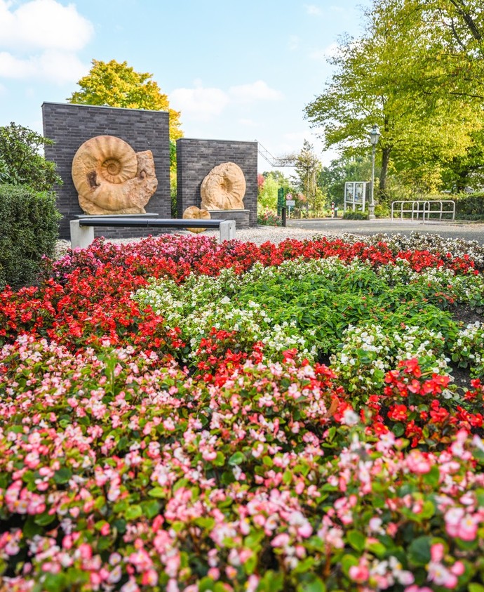 Blick auf einige der Rosengewächse im Rosengarten