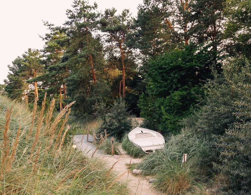 Rombergpark Dortmund Moorlandschaft