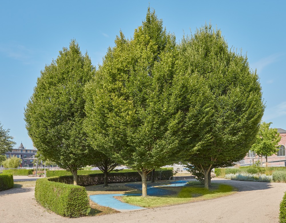 Gronau, Inselpark