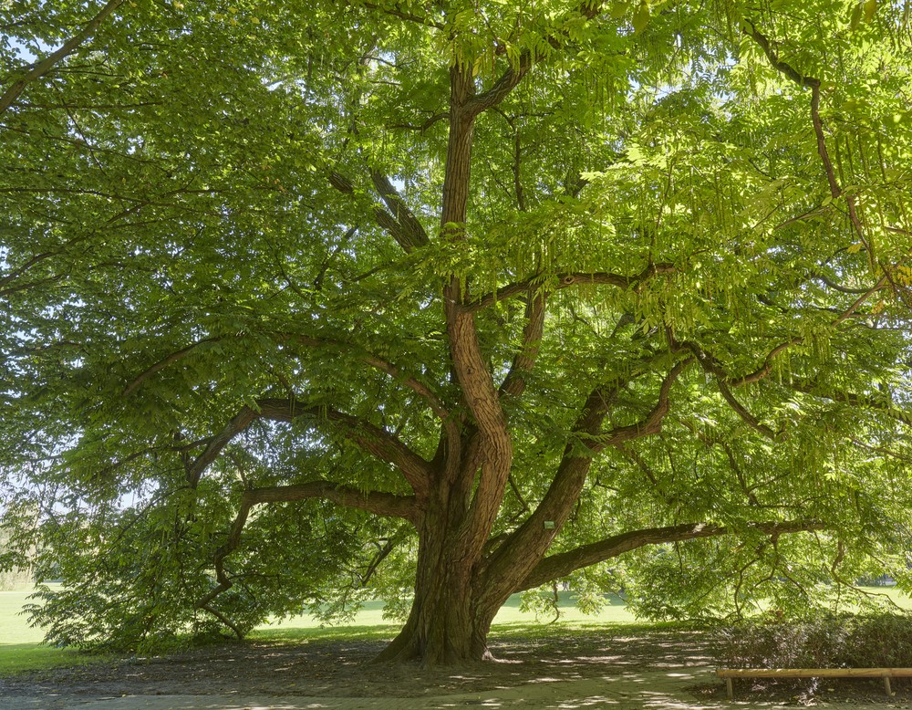 Nordpark Bielefeld