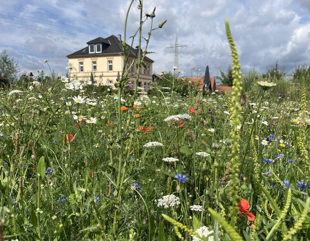Castrop-Rauxel, Allmende-Nutz- und Naturgarten am Hof Emscher-Auen