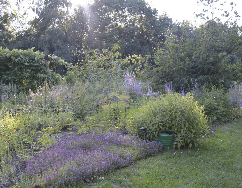 Kruidenhof te Mallum