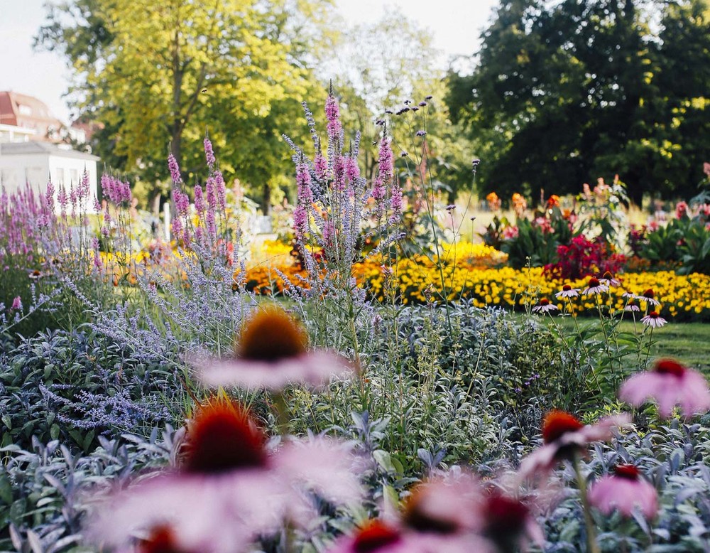 Blumenbeete des Kurparks Bad Salzuflen.