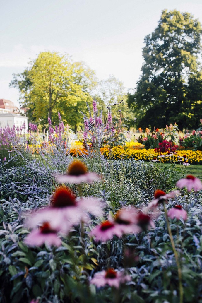 Blumenbeete des Kurparks Bad Salzuflen.