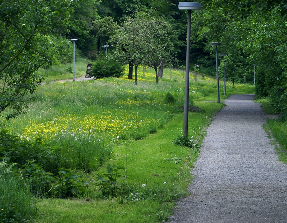 Vlotho, Kurpark Bad Seebruch