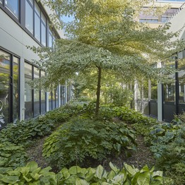 Höxter, Botanischer Garten Höxter