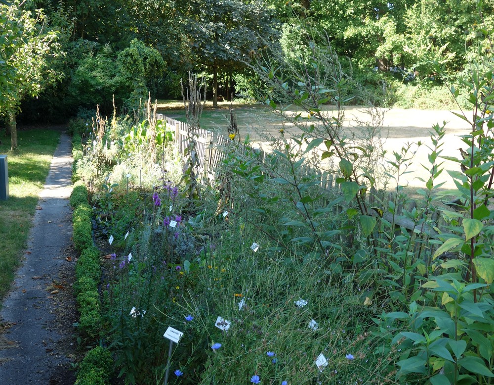 Garten des Museums Osthusschule in Bielefeld