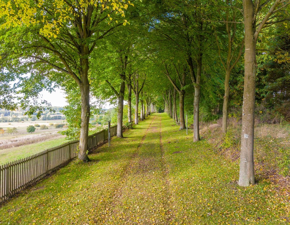 Lichtenau Mariengrotte Wallfahrtsgelände Kleinenberg