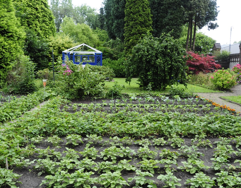 Dortmund, Arbeitergarten des LWL-Museum Zeche Zollern