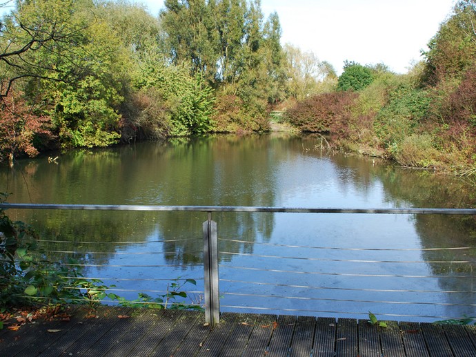 Ein kleiner See an der Alten Ziegelei. Dieser Bereich gehört mit zum Seepark Lünen.