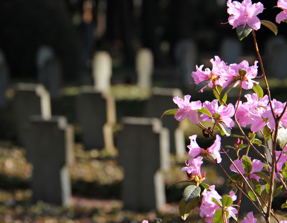 Werl, Parkfriedhof und Kurpark Werl