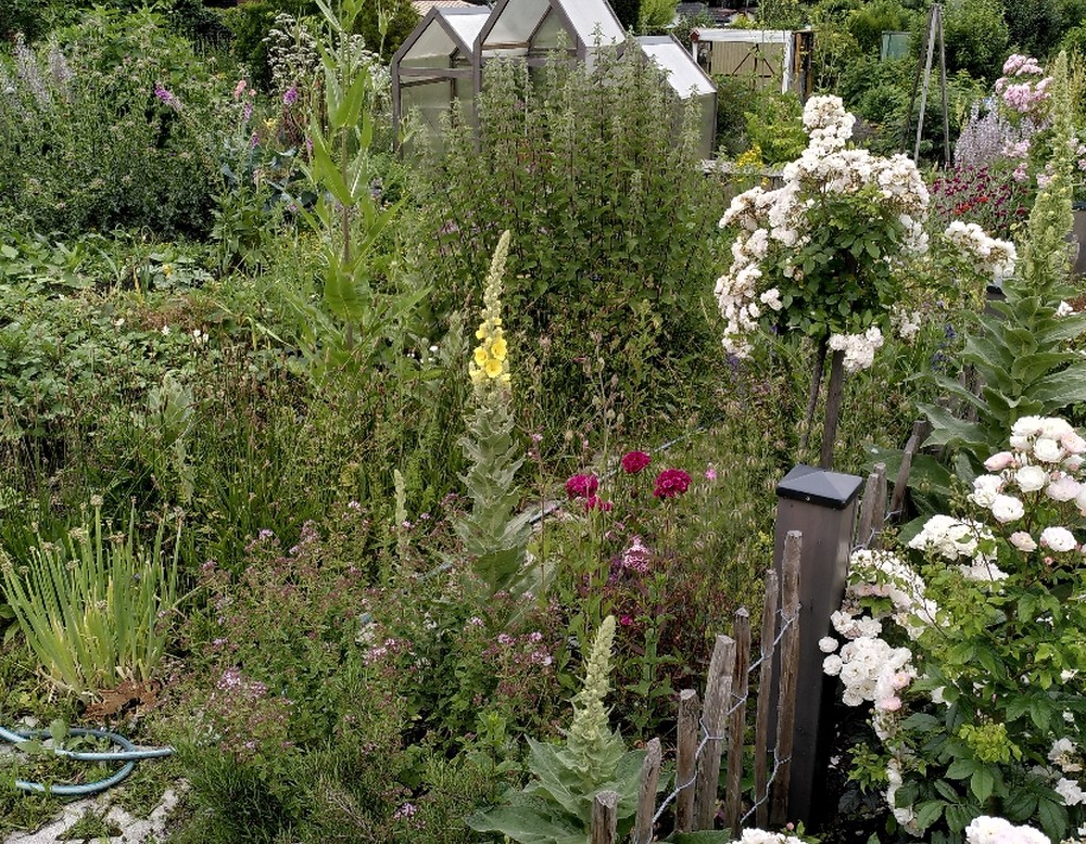 Dortmund, Garten 33 Gartenverein Friedlicher Nachbar