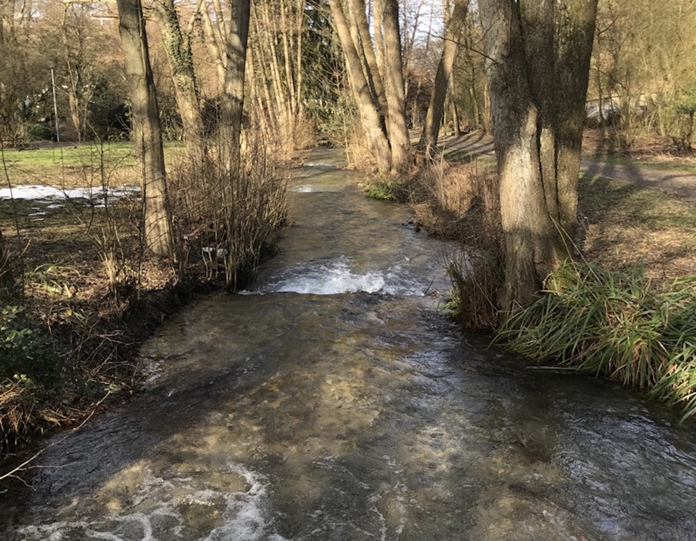 Papiermühle Berlebeck