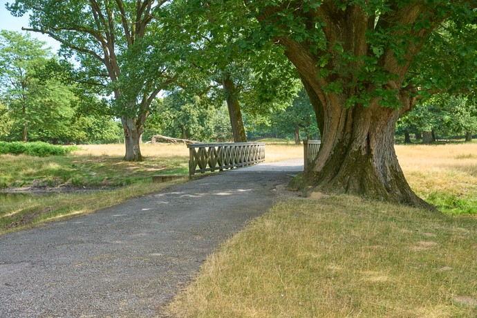 Wildpark in Dülmen