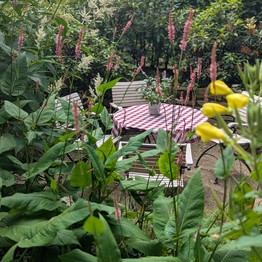 Lippetal, Arboretum Hense