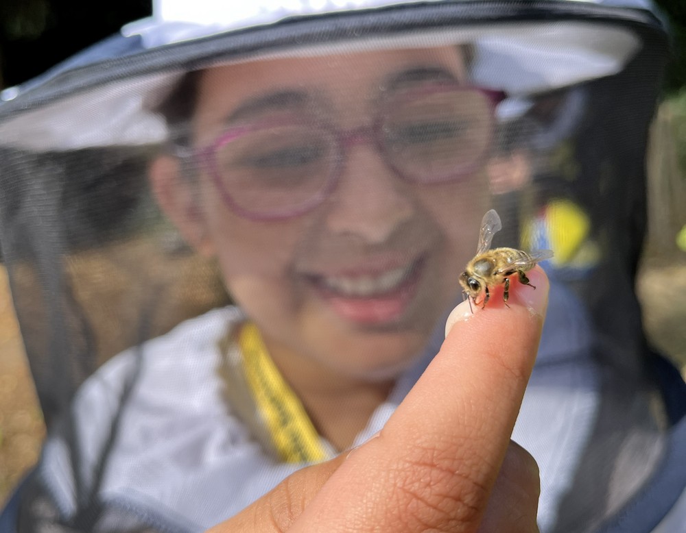 Dortmund, Mietergarten der Borsigbienen