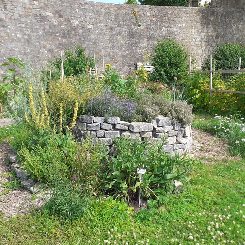 Wurzgarten