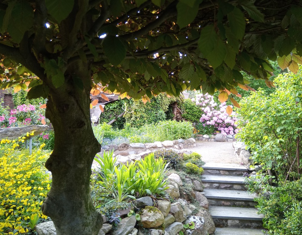 Schermbeck, Garten Eva und Rainer Paus