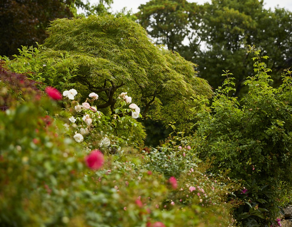 Dortmund, Schlosspark Bodelschwingh