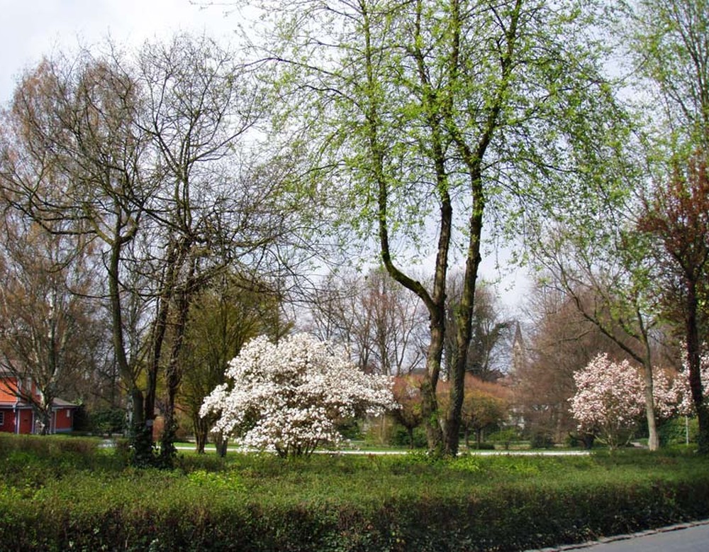 Blicken auf den Stadtgarten Castrop-Rauxel. Zwischen den Bäumen hindurch ist auf der linken Seite das Parkbad Süd erkennbar.