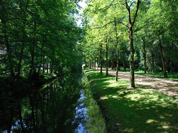 Am Kanal Friedrichstal zieht sich eine Allee.