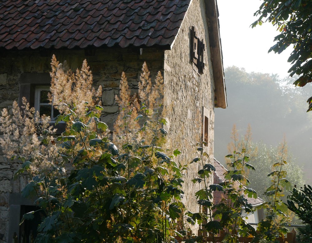 Das Geflügelhaus am Kräutergarten des Klosters Dalheim.