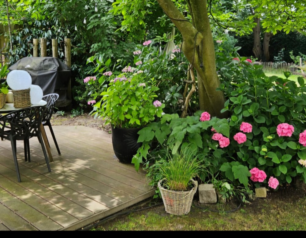 Mein wilder Stadtgarten