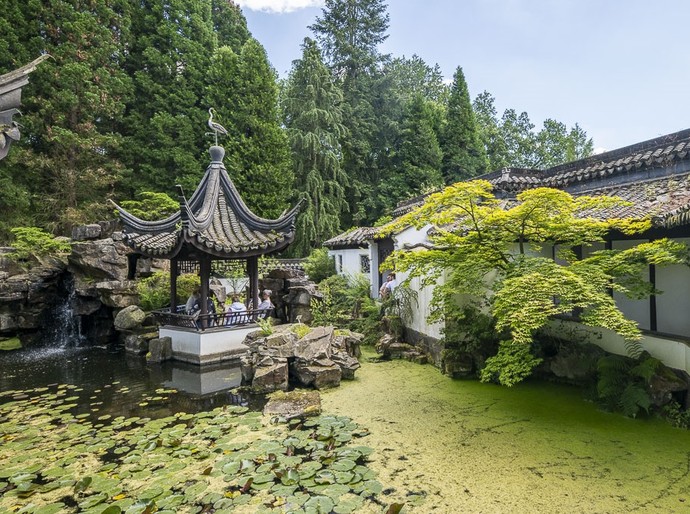 Der Botanische Garten der Ruhr-Universität beheimatet zahlreiche Pflanzen verschiedenster Biotope.