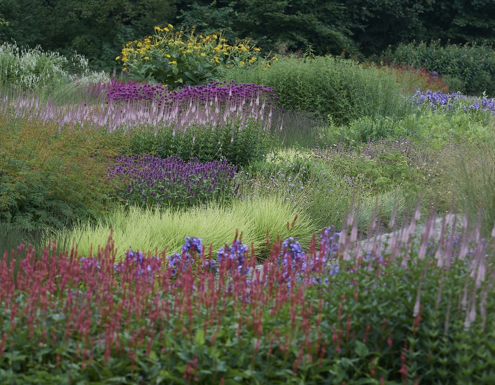 Beete im Maximilianpark während des Sommers.