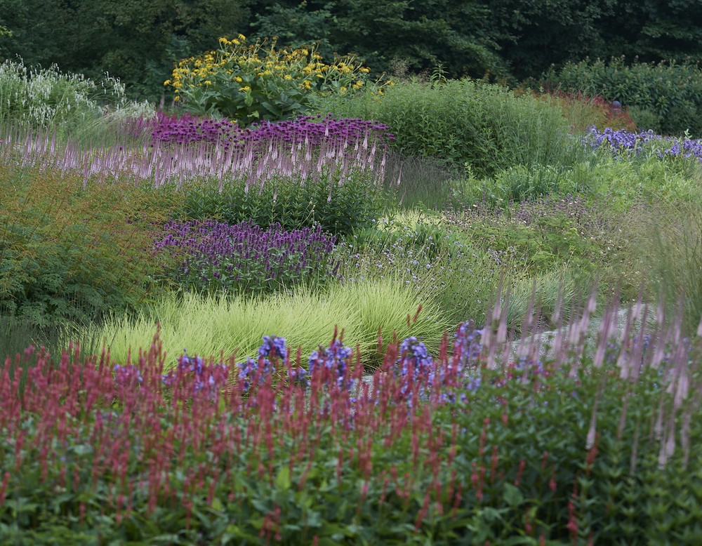 Beete im Maximilianpark während des Sommers.