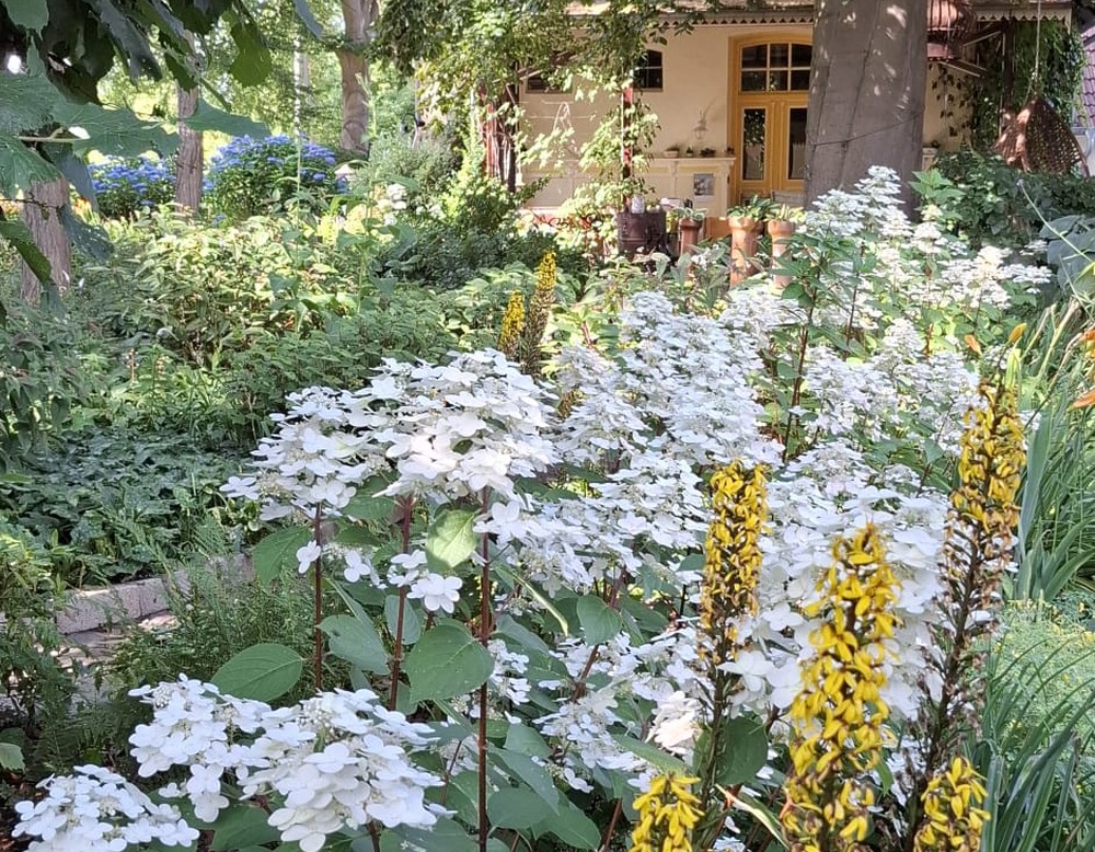 Schermbeck, Garten Paus